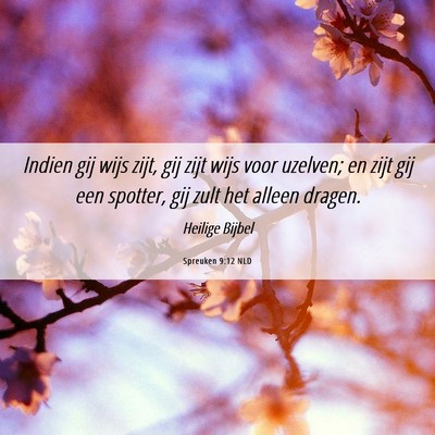 Picture 06 - Spreuken 9:12 NLD - Indien gij wijs zijt, gij zijt wijs voor uzelven; - Bible Verse Picture