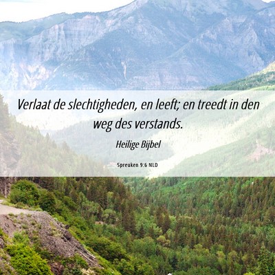 Picture 06 - Spreuken 9:6 NLD - Verlaat de slechtigheden, en leeft; en treedt in - Bible Verse Picture