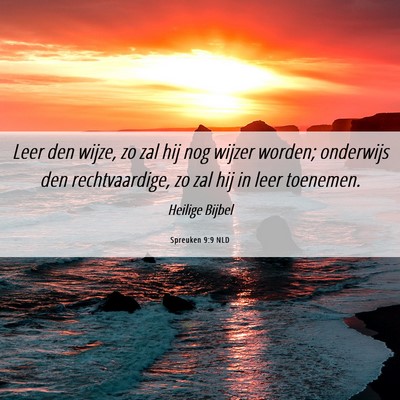 Picture 06 - Spreuken 9:9 NLD - Leer den wijze, zo zal hij nog wijzer worden; - Bible Verse Picture