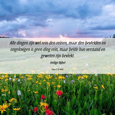 Picture 06 - Titus 1:15 NLD - Alle dingen zijn wel rein den reinen, maar den - Bible Verse Picture