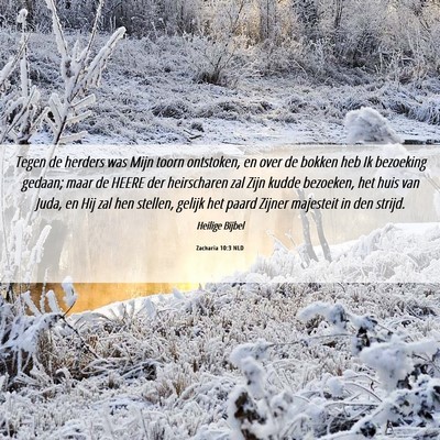 Picture 06 - Zacharia 10:3 NLD - Tegen de herders was Mijn toorn ontstoken, en - Bible Verse Picture