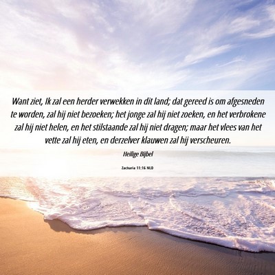 Picture 06 - Zacharia 11:16 NLD - Want ziet, Ik zal een herder verwekken in dit - Bible Verse Picture
