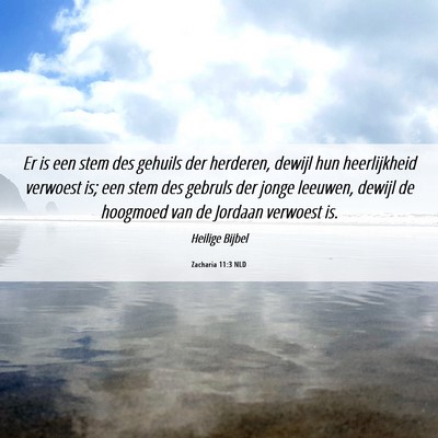 Picture 06 - Zacharia 11:3 NLD - Er is een stem des gehuils der herderen, dewijl - Bible Verse Picture