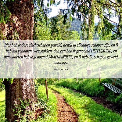 Picture 06 - Zacharia 11:7 NLD - Dies heb ik deze slachtschapen geweid, dewijl zij - Bible Verse Picture