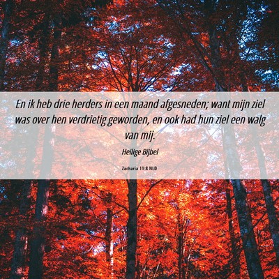 Picture 06 - Zacharia 11:8 NLD - En ik heb drie herders in een maand afgesneden; - Bible Verse Picture
