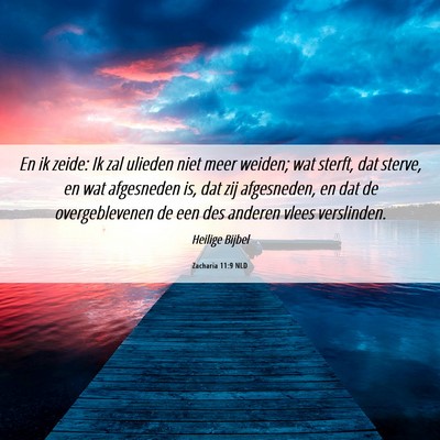 Picture 06 - Zacharia 11:9 NLD - En ik zeide: Ik zal ulieden niet meer weiden; wat - Bible Verse Picture