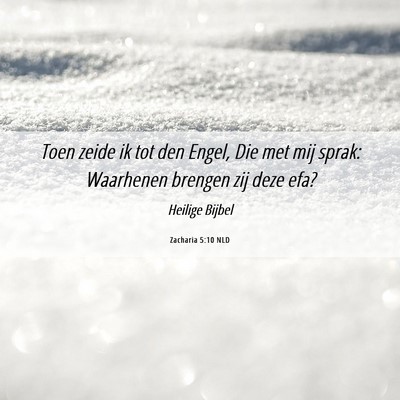Picture 06 - Zacharia 5:10 NLD - Toen zeide ik tot den Engel, Die met mij sprak: - Bible Verse Picture