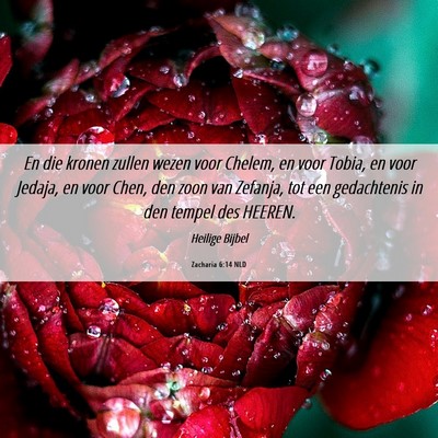 Picture 06 - Zacharia 6:14 NLD - En die kronen zullen wezen voor Chelem, en voor - Bible Verse Picture