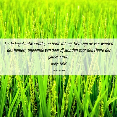 Picture 06 - Zacharia 6:5 NLD - En de Engel antwoordde, en zeide tot mij: Deze - Bible Verse Picture