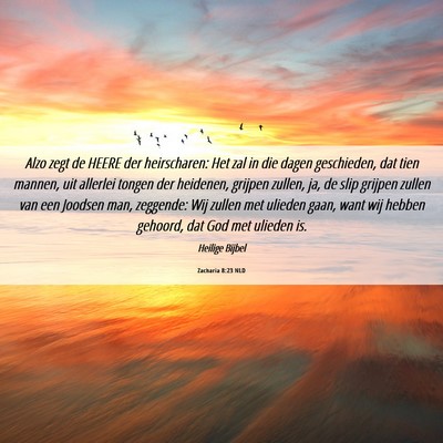 Picture 06 - Zacharia 8:23 NLD - Alzo zegt de HEERE der heirscharen: Het zal in - Bible Verse Picture