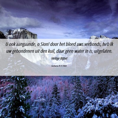 Picture 06 - Zacharia 9:11 NLD - U ook aangaande, o Sion! door het bloed uws - Bible Verse Picture