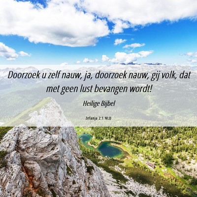 Picture 06 - Zefanja 2:1 NLD - Doorzoek u zelf nauw, ja, doorzoek nauw, gij - Bible Verse Picture