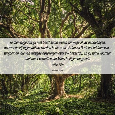 Picture 06 - Zefanja 3:11 NLD - Te dien dage zult gij niet beschaamd wezen - Bible Verse Picture