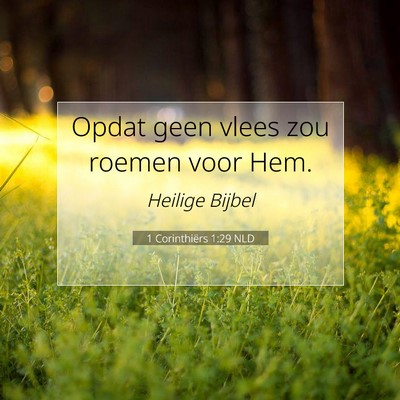 Picture 07 - 1 Corinthiërs 1:29 NLD - Opdat geen vlees zou roemen voor - Bible Verse Picture