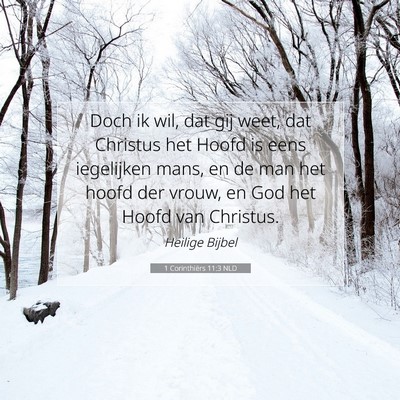 Picture 07 - 1 Corinthiërs 11:3 NLD - Doch ik wil, dat gij weet, dat Christus het Hoofd - Bible Verse Picture