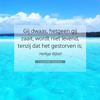 Picture 07 - 1 Corinthiërs 15:36 NLD - Gij dwaas, hetgeen gij zaait, wordt niet levend, - Bible Verse Picture