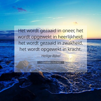 Picture 07 - 1 Corinthiërs 15:43 NLD - Het wordt gezaaid in oneer, het wordt opgewekt in - Bible Verse Picture