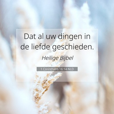 Picture 07 - 1 Corinthiërs 16:14 NLD - Dat al uw dingen in de liefde - Bible Verse Picture