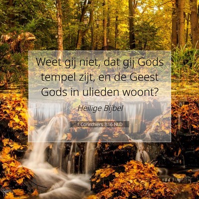 Picture 07 - 1 Corinthiërs 3:16 NLD - Weet gij niet, dat gij Gods tempel zijt, en de - Bible Verse Picture