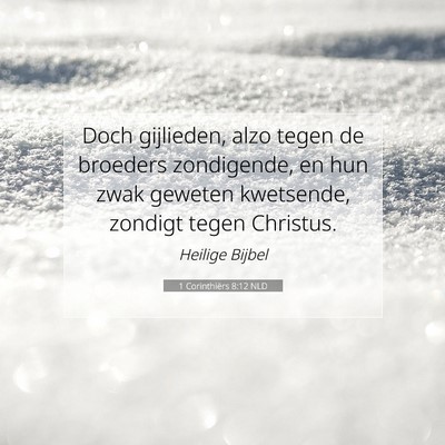 Picture 07 - 1 Corinthiërs 8:12 NLD - Doch gijlieden, alzo tegen de broeders - Bible Verse Picture