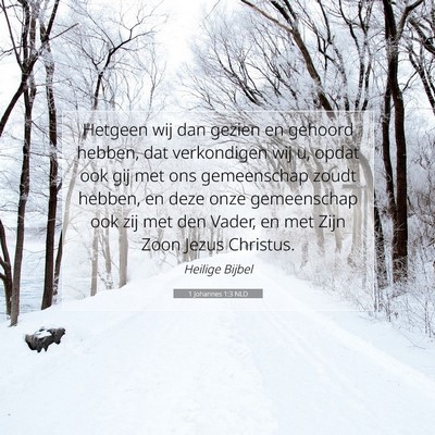 Picture 07 - 1 Johannes 1:3 NLD - Hetgeen wij dan gezien en gehoord hebben, dat - Bible Verse Picture