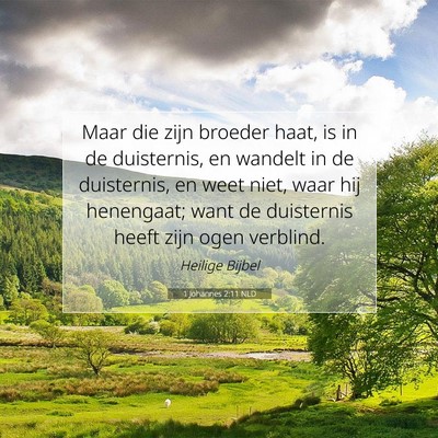 Picture 07 - 1 Johannes 2:11 NLD - Maar die zijn broeder haat, is in de duisternis, - Bible Verse Picture