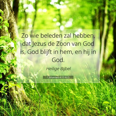 Picture 07 - 1 Johannes 4:15 NLD - Zo wie beleden zal hebben, dat Jezus de Zoon van - Bible Verse Picture