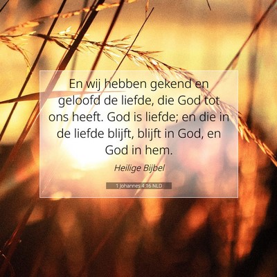 Picture 07 - 1 Johannes 4:16 NLD - En wij hebben gekend en geloofd de liefde, die - Bible Verse Picture