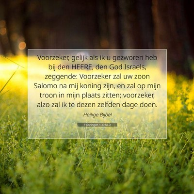 Picture 07 - 1 Koningen 1:30 NLD - Voorzeker, gelijk als ik u gezworen heb bij den - Bible Verse Picture