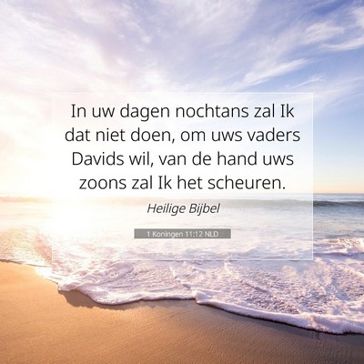 Picture 07 - 1 Koningen 11:12 NLD - In uw dagen nochtans zal Ik dat niet doen, om uws - Bible Verse Picture