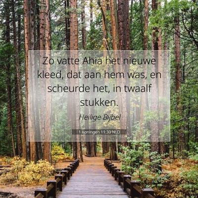 Picture 07 - 1 Koningen 11:30 NLD - Zo vatte Ahia het nieuwe kleed, dat aan hem was, - Bible Verse Picture
