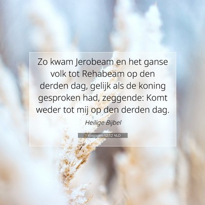 Picture 07 - 1 Koningen 12:12 NLD - Zo kwam Jerobeam en het ganse volk tot Rehabeam - Bible Verse Picture