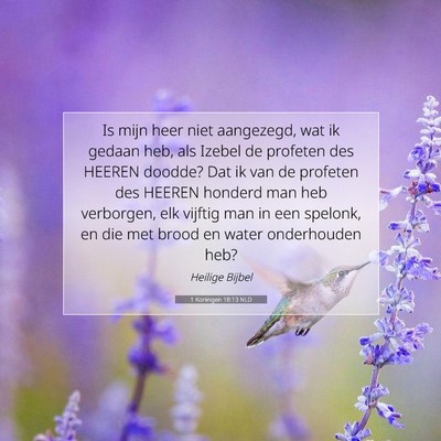 Picture 07 - 1 Koningen 18:13 NLD - Is mijn heer niet aangezegd, wat ik gedaan heb, - Bible Verse Picture