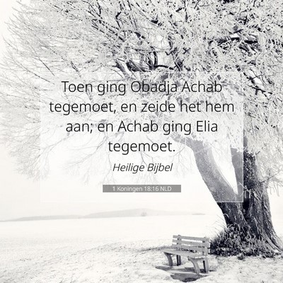 Picture 07 - 1 Koningen 18:16 NLD - Toen ging Obadja Achab tegemoet, en zeide het hem - Bible Verse Picture