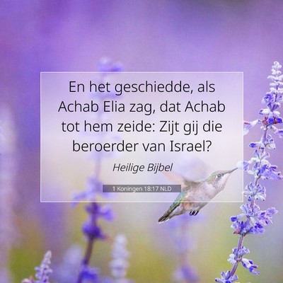 Picture 07 - 1 Koningen 18:17 NLD - En het geschiedde, als Achab Elia zag, dat Achab - Bible Verse Picture