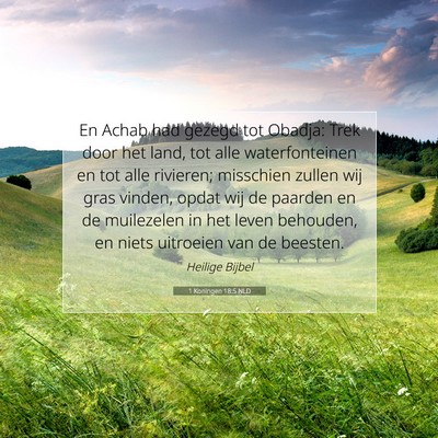 Picture 07 - 1 Koningen 18:5 NLD - En Achab had gezegd tot Obadja: Trek door het - Bible Verse Picture