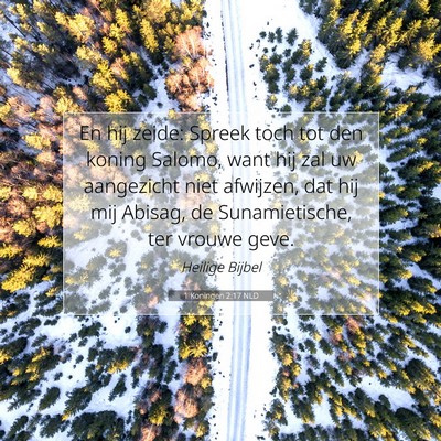 Picture 07 - 1 Koningen 2:17 NLD - En hij zeide: Spreek toch tot den koning Salomo, - Bible Verse Picture