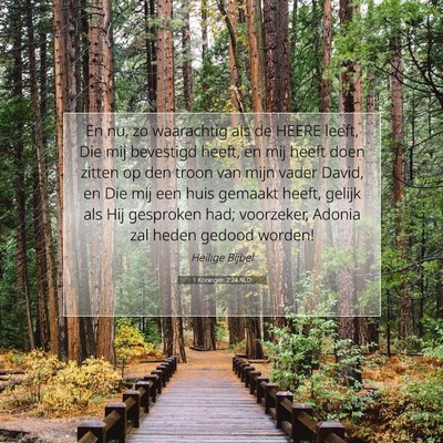 Picture 07 - 1 Koningen 2:24 NLD - En nu, zo waarachtig als de HEERE leeft, Die mij - Bible Verse Picture