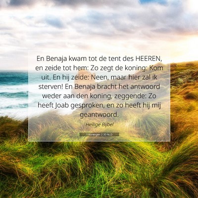 Picture 07 - 1 Koningen 2:30 NLD - En Benaja kwam tot de tent des HEEREN, en zeide - Bible Verse Picture