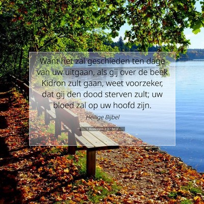Picture 07 - 1 Koningen 2:37 NLD - Want het zal geschieden ten dage van uw uitgaan, - Bible Verse Picture