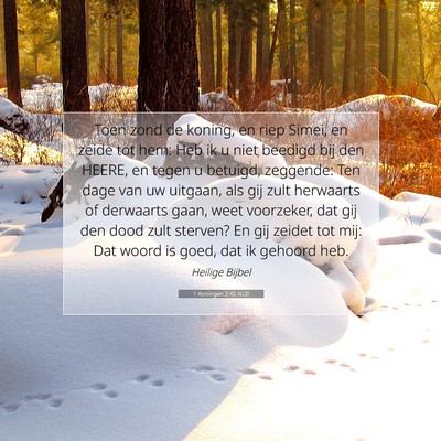 Picture 07 - 1 Koningen 2:42 NLD - Toen zond de koning, en riep Simei, en zeide tot - Bible Verse Picture