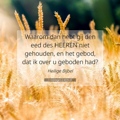 Picture 07 - 1 Koningen 2:43 NLD - Waarom dan hebt gij den eed des HEEREN niet - Bible Verse Picture