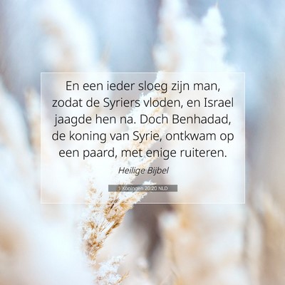 Picture 07 - 1 Koningen 20:20 NLD - En een ieder sloeg zijn man, zodat de Syriers - Bible Verse Picture