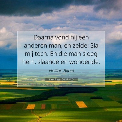 Picture 07 - 1 Koningen 20:37 NLD - Daarna vond hij een anderen man, en zeide: Sla - Bible Verse Picture