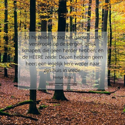 Picture 07 - 1 Koningen 22:17 NLD - En hij zeide: Ik zag het ganse Israel verstrooid - Bible Verse Picture