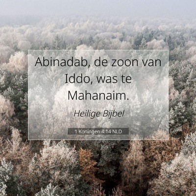 Picture 07 - 1 Koningen 4:14 NLD - Abinadab, de zoon van Iddo, was te - Bible Verse Picture