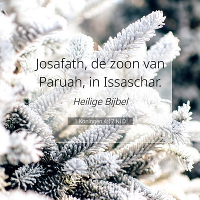 Picture 07 - 1 Koningen 4:17 NLD - Josafath, de zoon van Paruah, in - Bible Verse Picture
