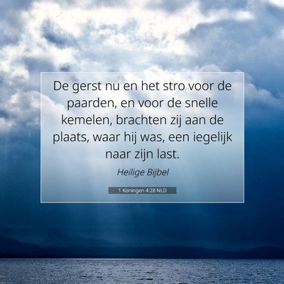 Picture 07 - 1 Koningen 4:28 NLD - De gerst nu en het stro voor de paarden, en voor - Bible Verse Picture