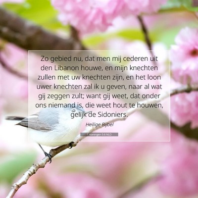 Picture 07 - 1 Koningen 5:6 NLD - Zo gebied nu, dat men mij cederen uit den Libanon - Bible Verse Picture