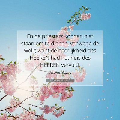 Picture 07 - 1 Koningen 8:11 NLD - En de priesters konden niet staan om te dienen, - Bible Verse Picture